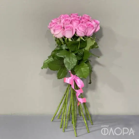 Розы "Ревайвел", Россия 60 см