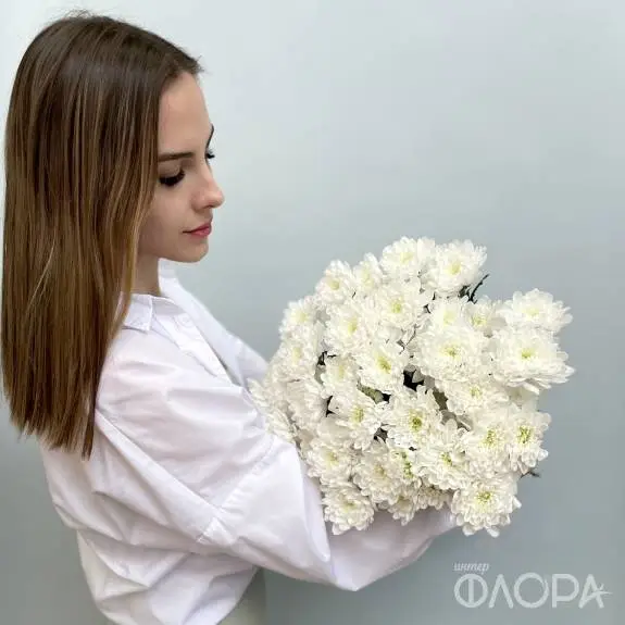 Белые кустовые хризантемы "Алтай"