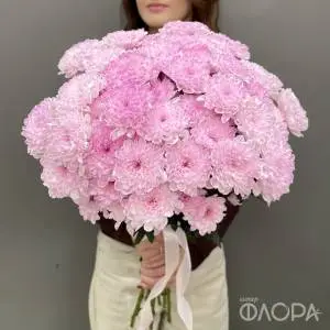Ягодные кустовые хризантемы