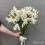 Белые альстромерии