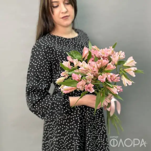 Розовые альстромерии
