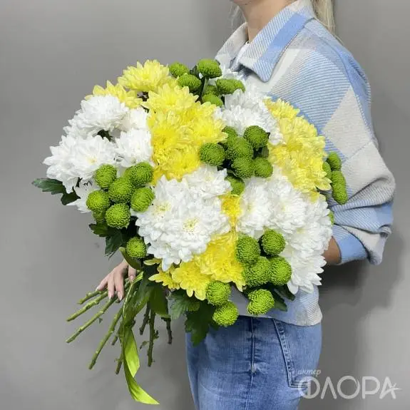 Белые, жёлтые, зелёные хризантемы