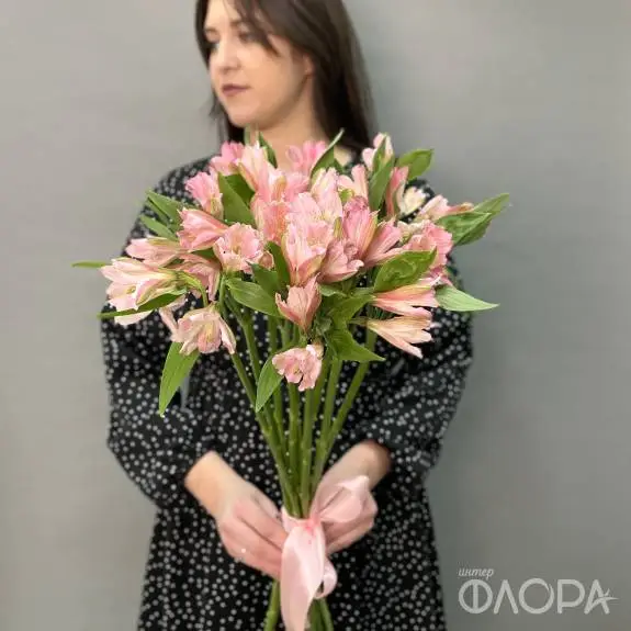 Розовые альстромерии