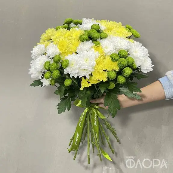 Белые, жёлтые, зелёные хризантемы