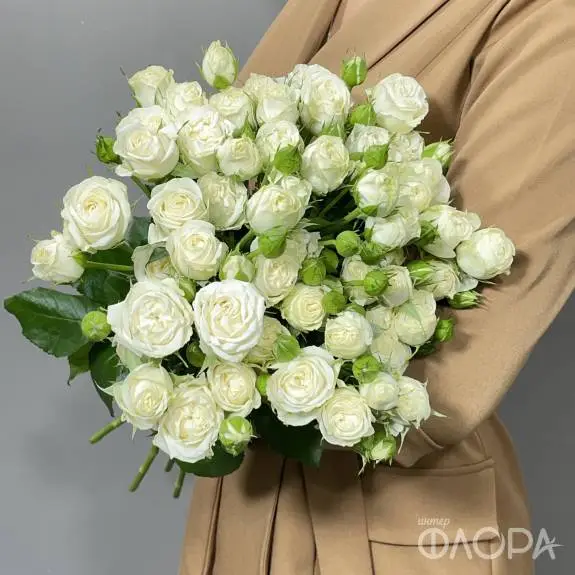 Белые кустовые розы "Беларус" 60 см