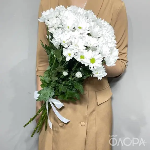 Белые хризантемы ромашки "Чик"