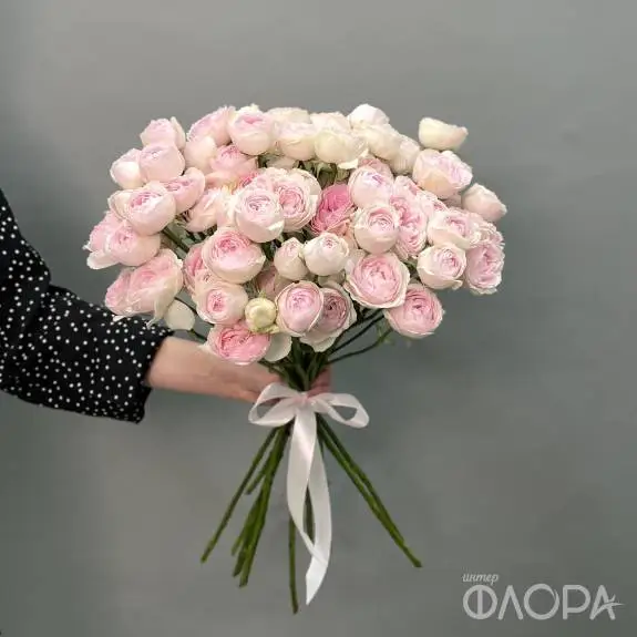 Пионовидные кустовые розы "Дедикейшн" 60 см