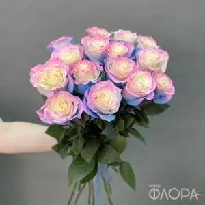Розы "Бабл Гам", Эквадор 60 см 