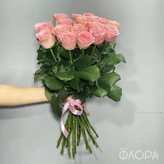 Розы "Софи Лорен", Россия 70 см 
