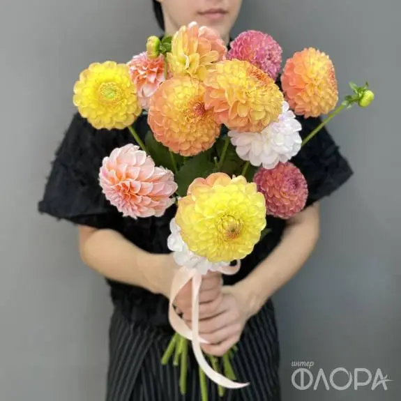 Георгины 