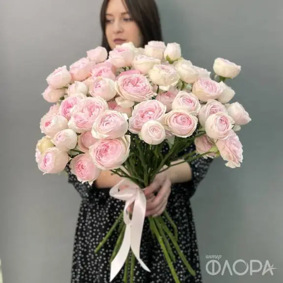 Пионовидные кустовые розы "Дедикейшн" 60 см