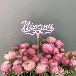 Прости 