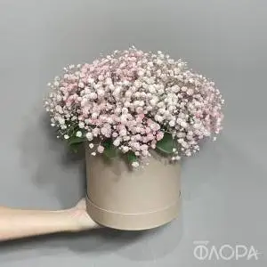 Букет "Нежная гипсофила" в коробке