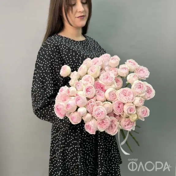 Пионовидные кустовые розы "Дедикейшн" 60 см