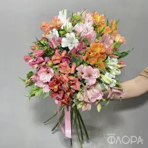Разноцветные альстромерии 