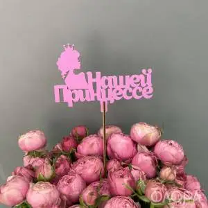 Нашей принцессе