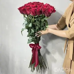 Красные высокие розы, Эквадор