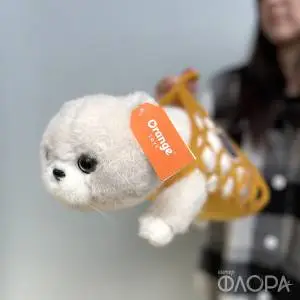 Котик Барсик Муся