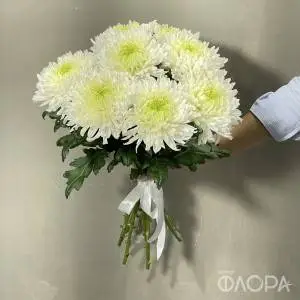 Одноголовые хризантемы "Магнум"