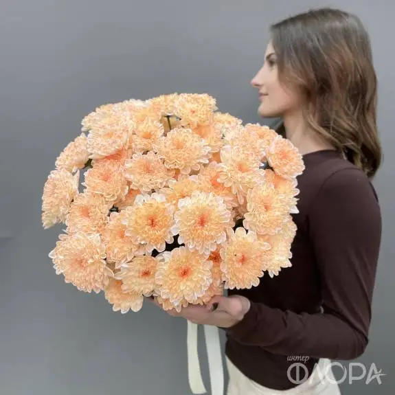 Персиковые кустовые хризантемы
