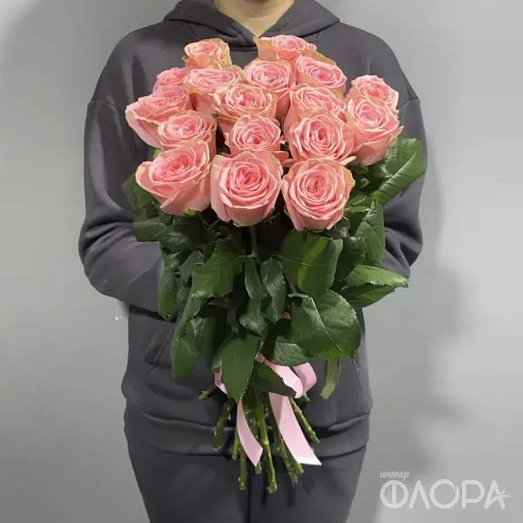 Розы "Софи Лорен", Россия 70 см 