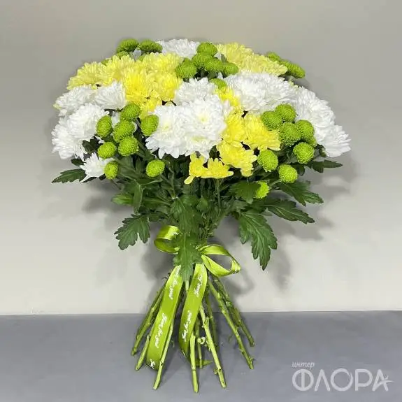 Белые, жёлтые, зелёные хризантемы