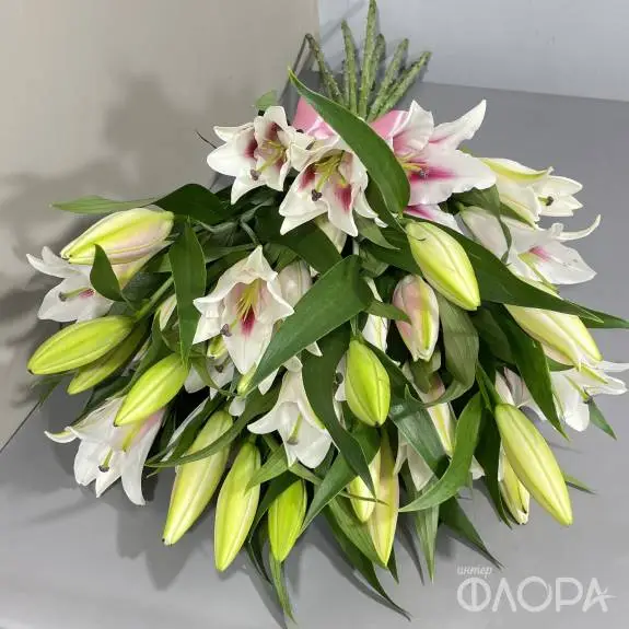 Розовые лилии