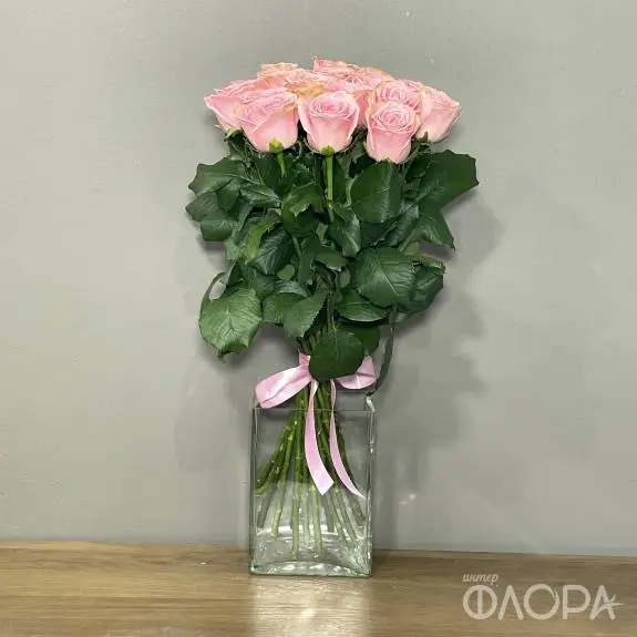 Розы "Софи Лорен", Россия 70 см 