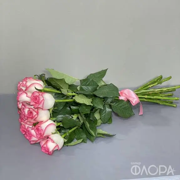 Двухцветные розы "Джумилия", Россия  