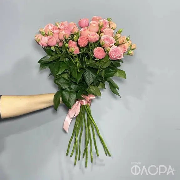 Кустовые пионовидные розы "Спешл Деменшн", 60 см