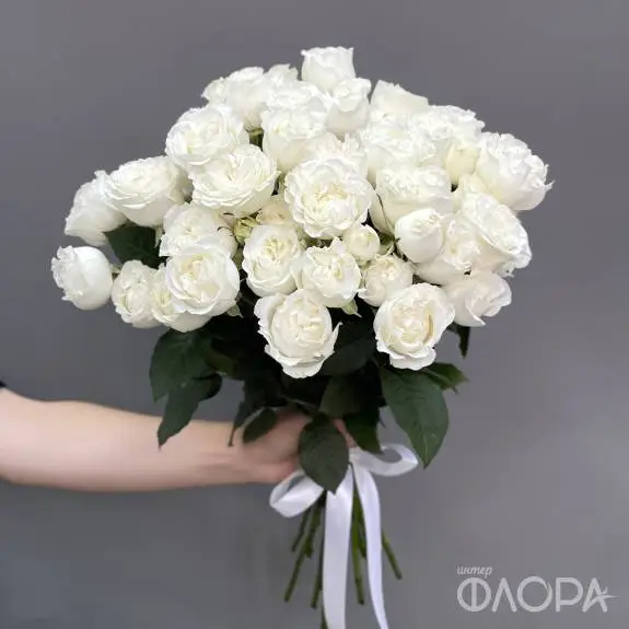 Пионовидные кустовые розы "Дример" 60 см