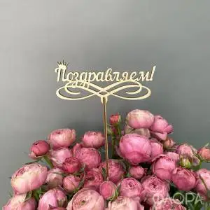 Поздравляем